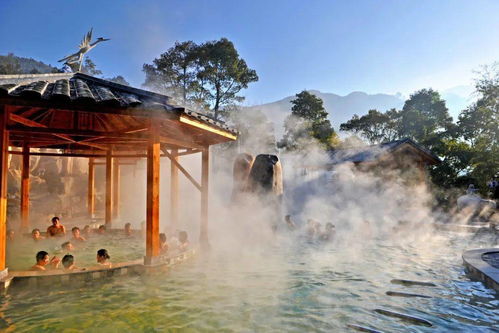 聽(tīng)說(shuō),周末你要來(lái)福州