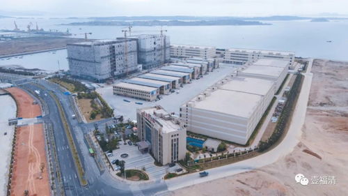 福清再提速 1793噸遠洋漁獲3天卸貨