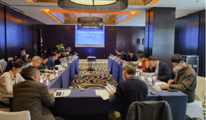 集聚智慧 共繪藍圖——黃文川主持北京專家咨詢會為百色重點開發開放試驗區建設把脈